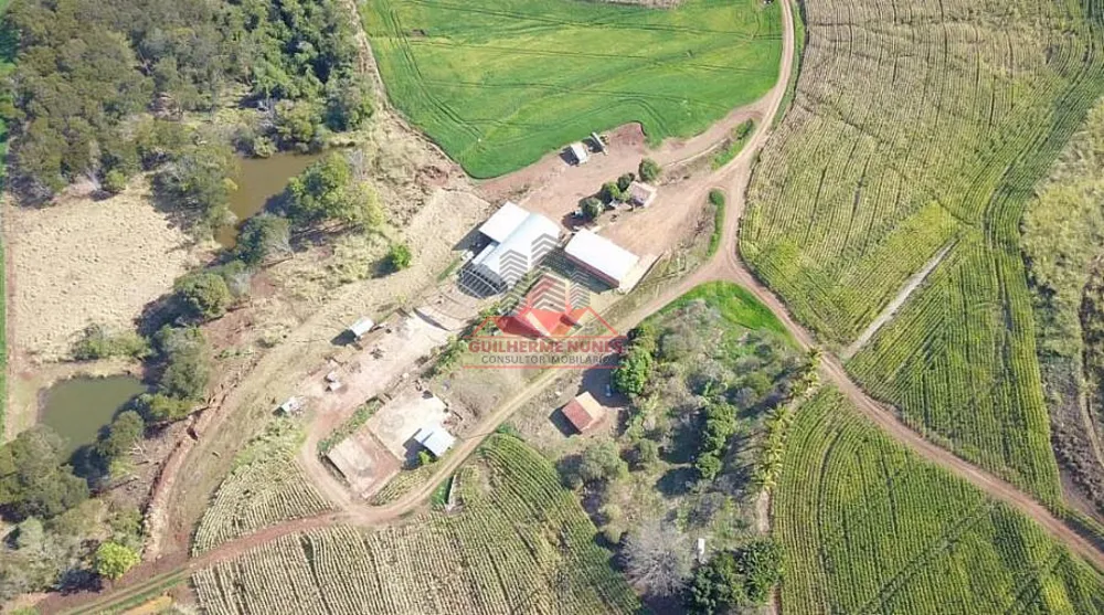 Fazenda, 298 hectares - Foto 1
