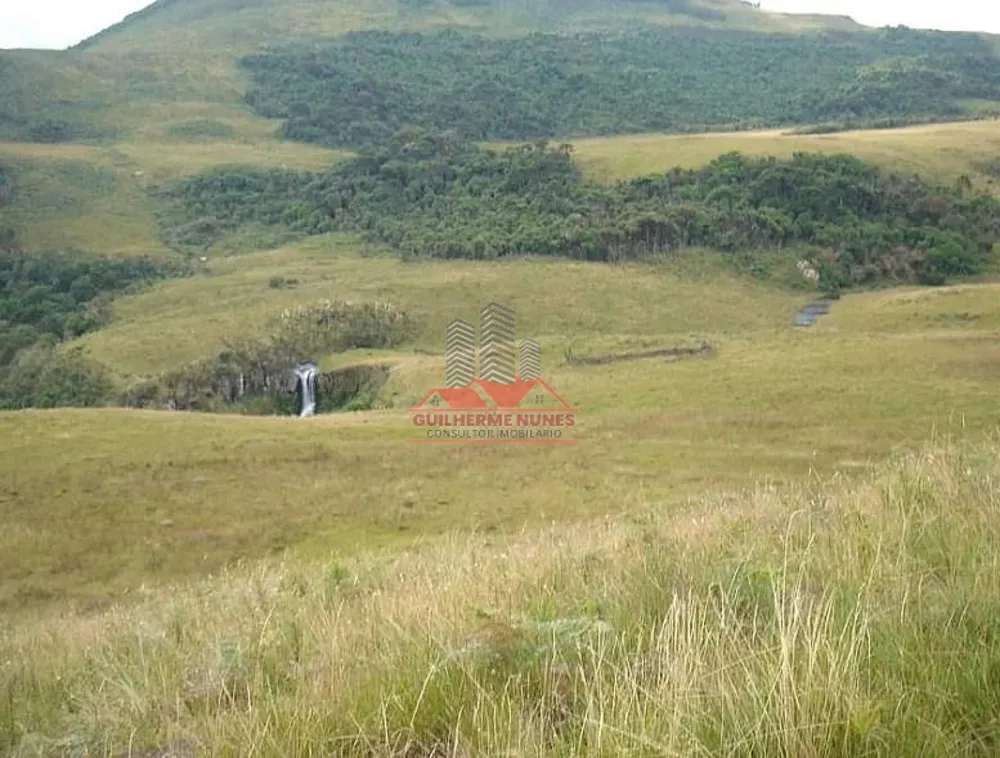 Fazenda, 425 hectares - Foto 3