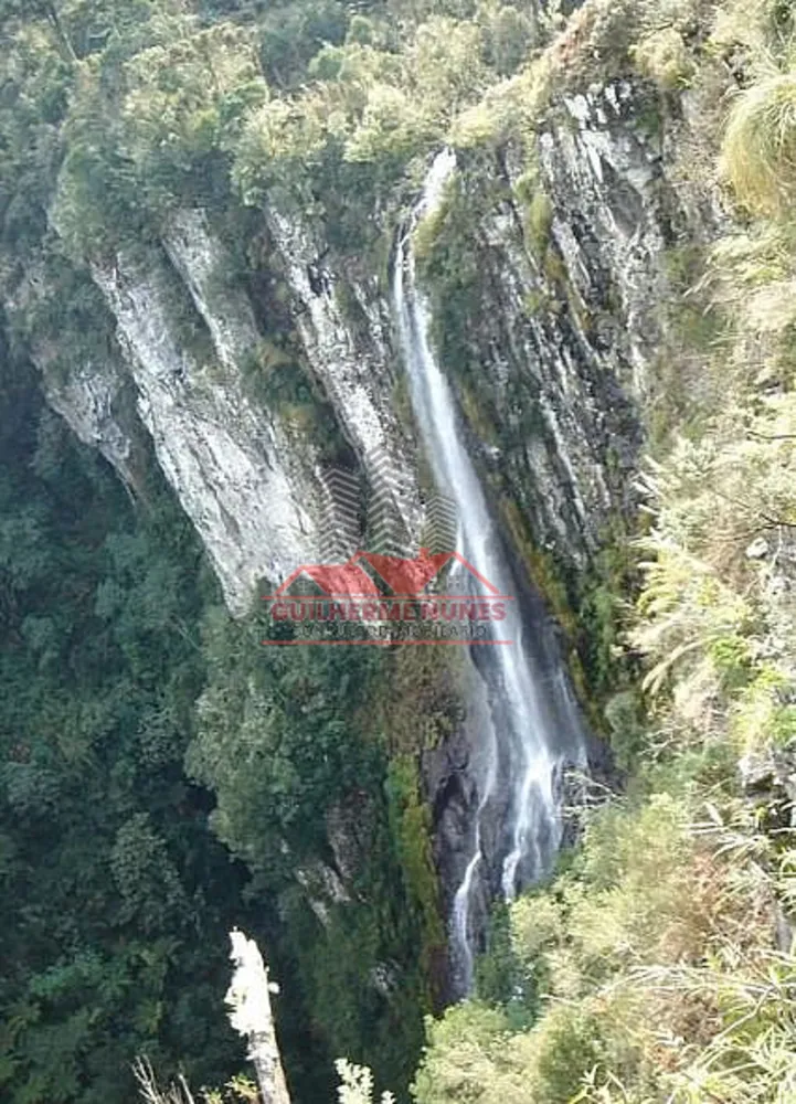 Fazenda, 425 hectares - Foto 3