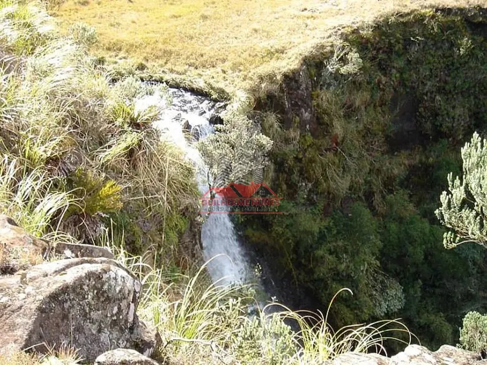 Fazenda, 425 hectares - Foto 4