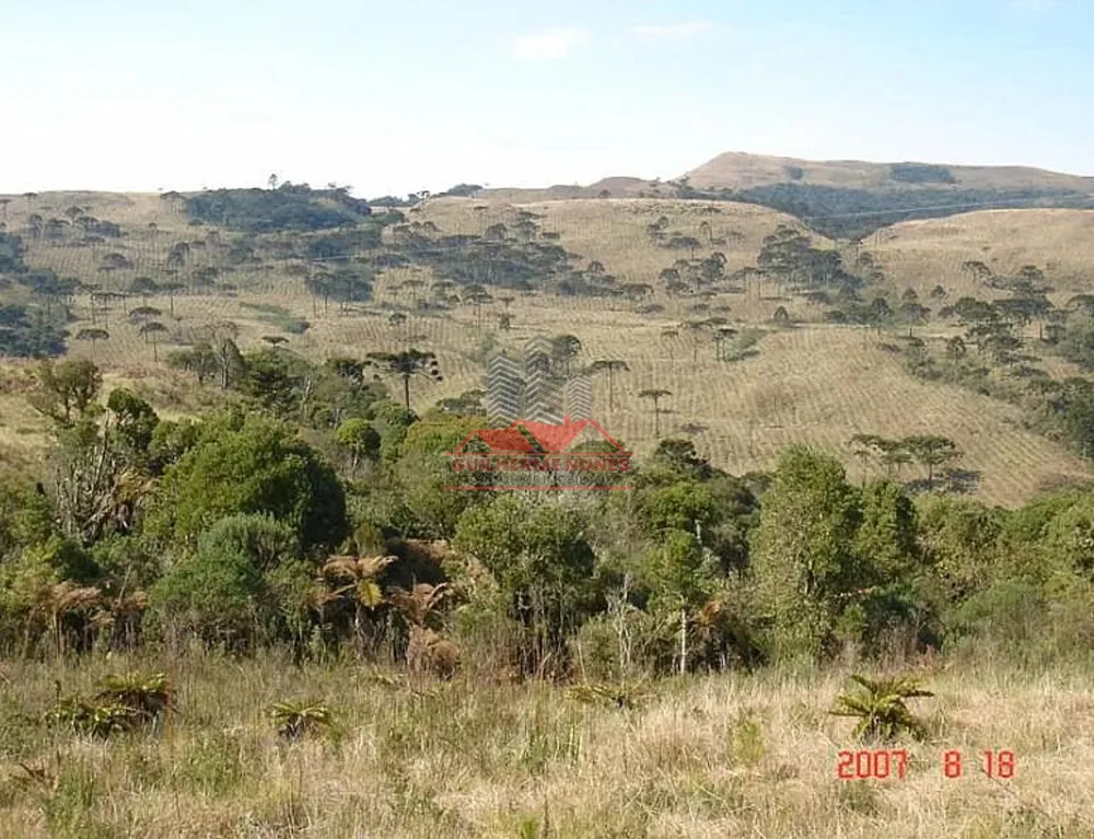 Fazenda, 425 hectares - Foto 4