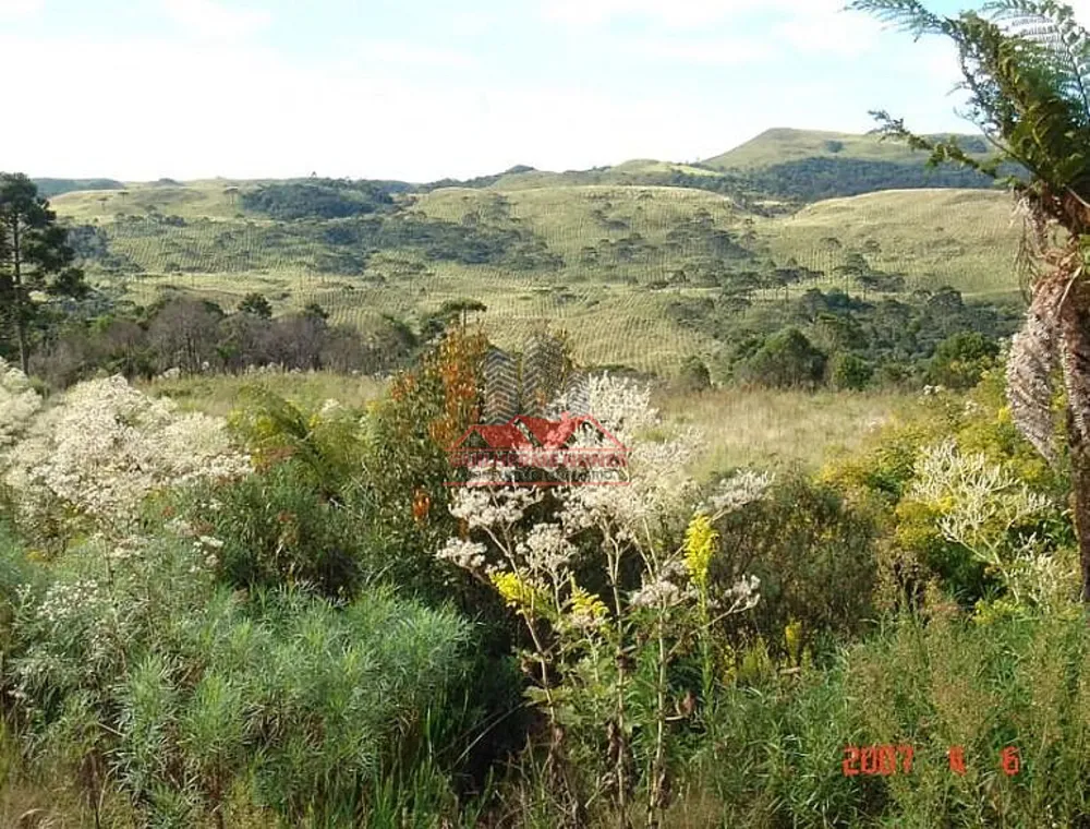 Fazenda, 425 hectares - Foto 1
