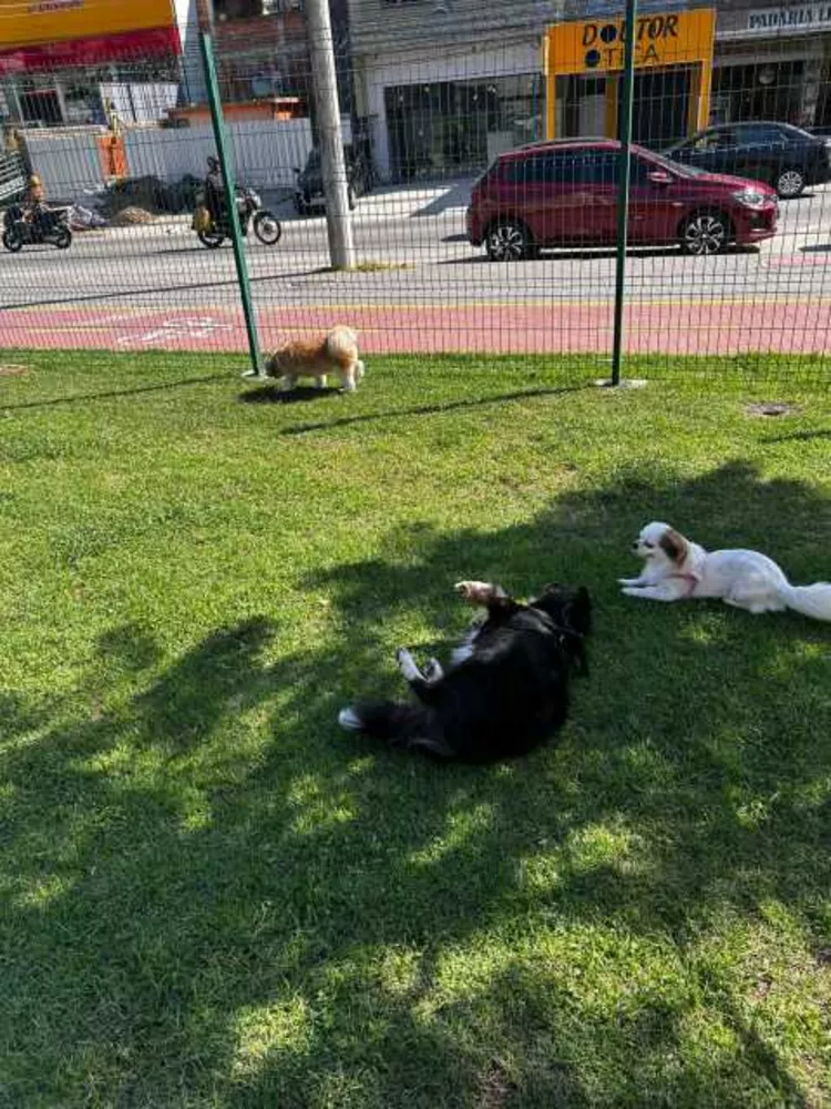 Apartamento, 2 quartos, 60 m² - Foto 10