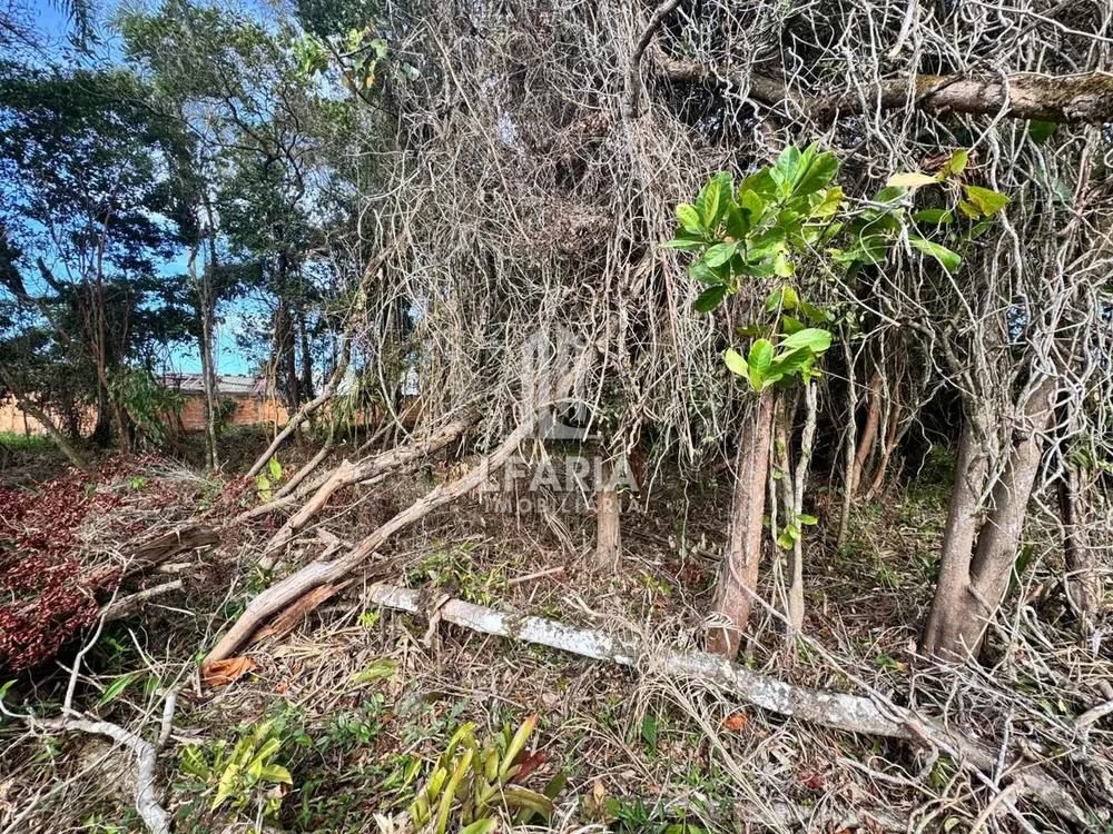 Terreno - Foto 4