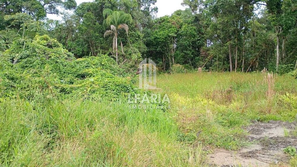 Terreno à venda - Foto 2