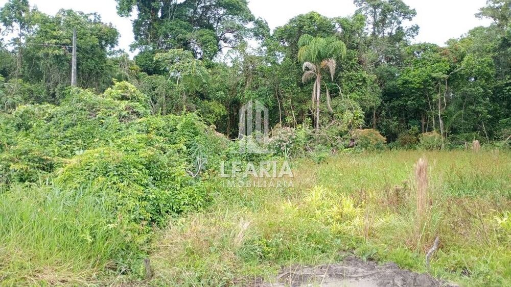 Terreno à venda - Foto 1