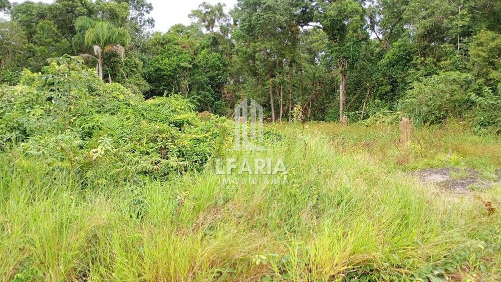 Terreno à venda - Foto 3