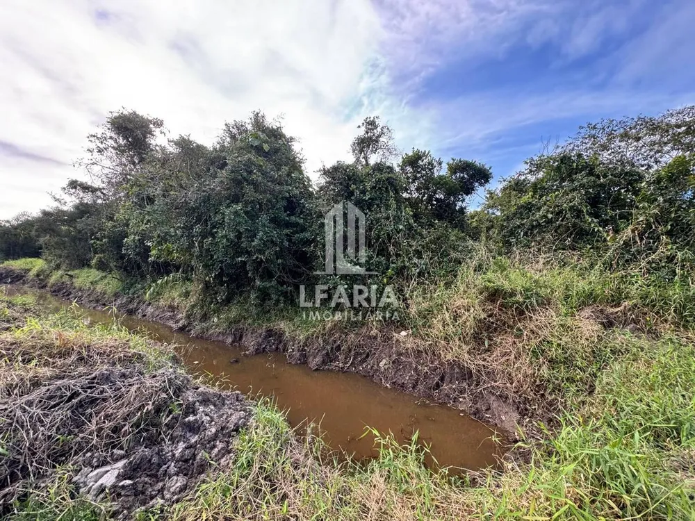 Terreno - Foto 4