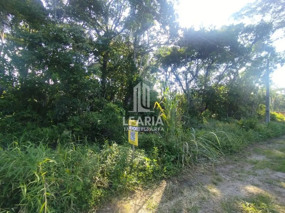 Terreno - Foto 1