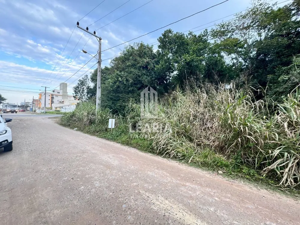 Terreno - Foto 1