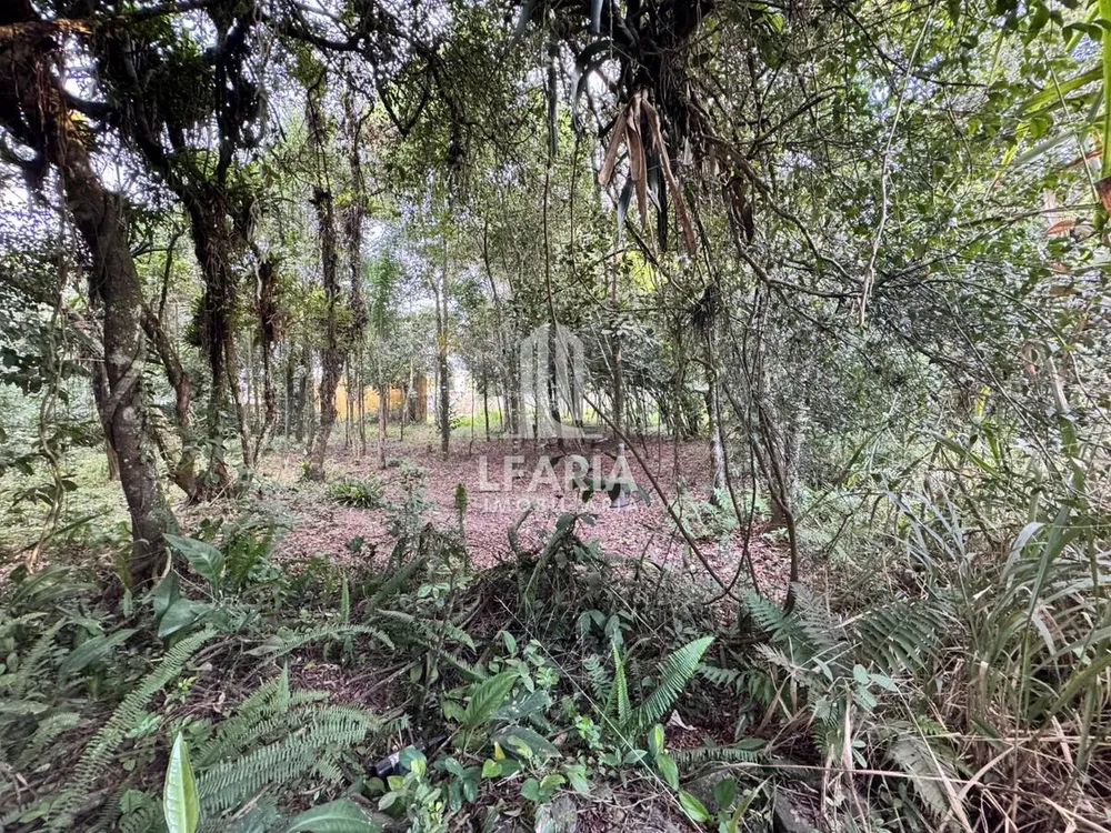 Terreno - Foto 3