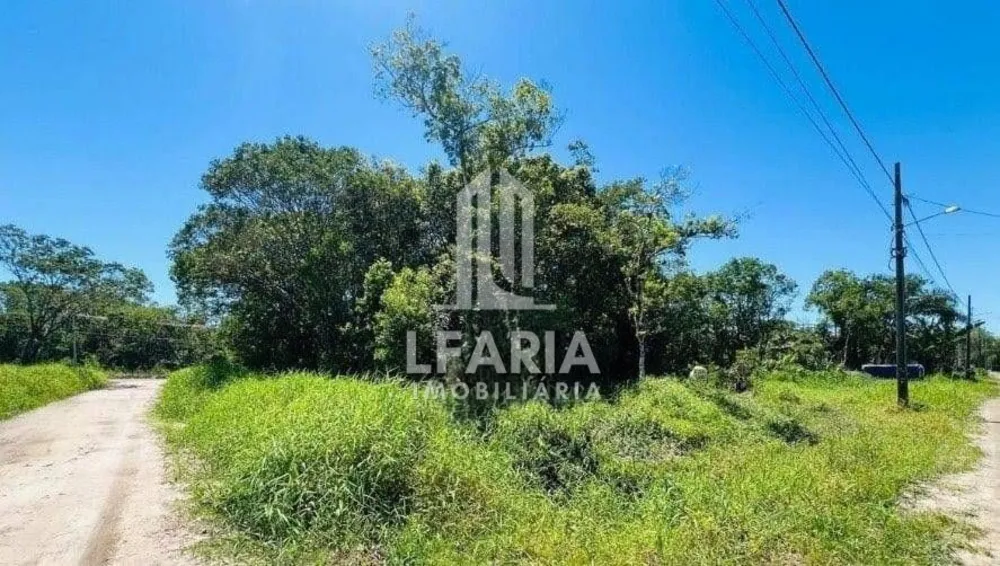 Terreno - Foto 3