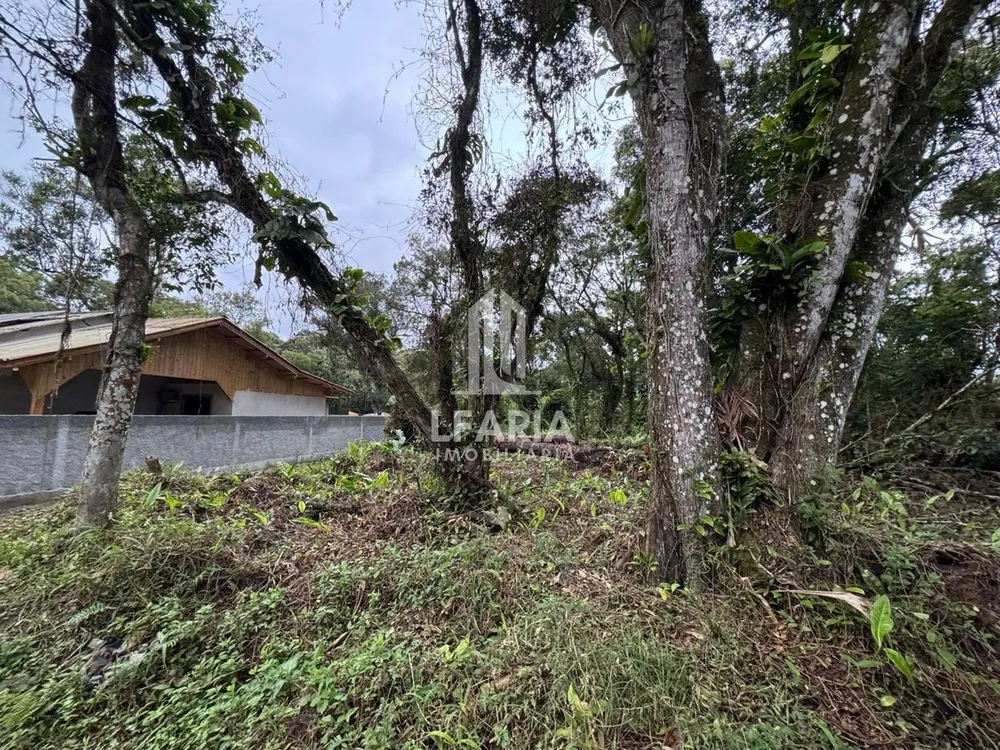 Terreno - Foto 1