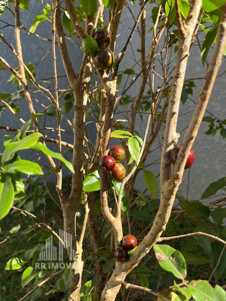 Casa, 3 quartos, 135 m² - Foto 8