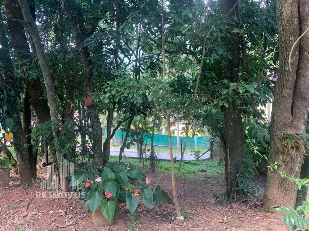 Casa, 3 quartos, 330 m² - Foto 6