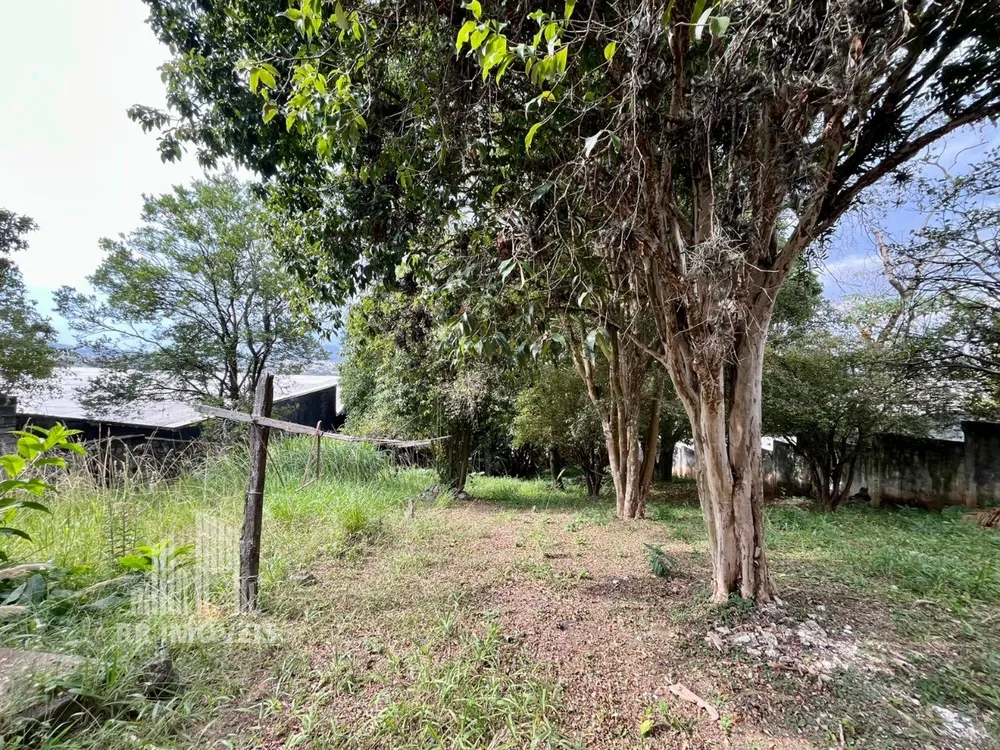 Chácara, 3 quartos - Foto 12