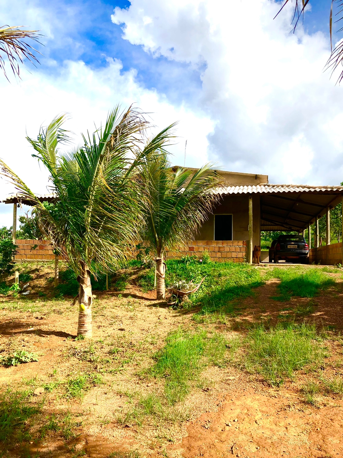 Chácara à venda com 3 quartos, 10000m² - Foto 3