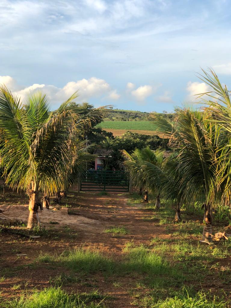 Chácara à venda com 3 quartos, 10000m² - Foto 2