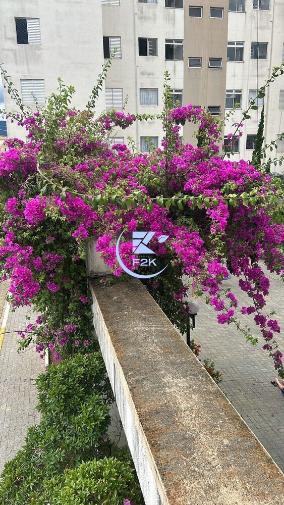 Apartamento, 3 quartos, 55 m² - Foto 2