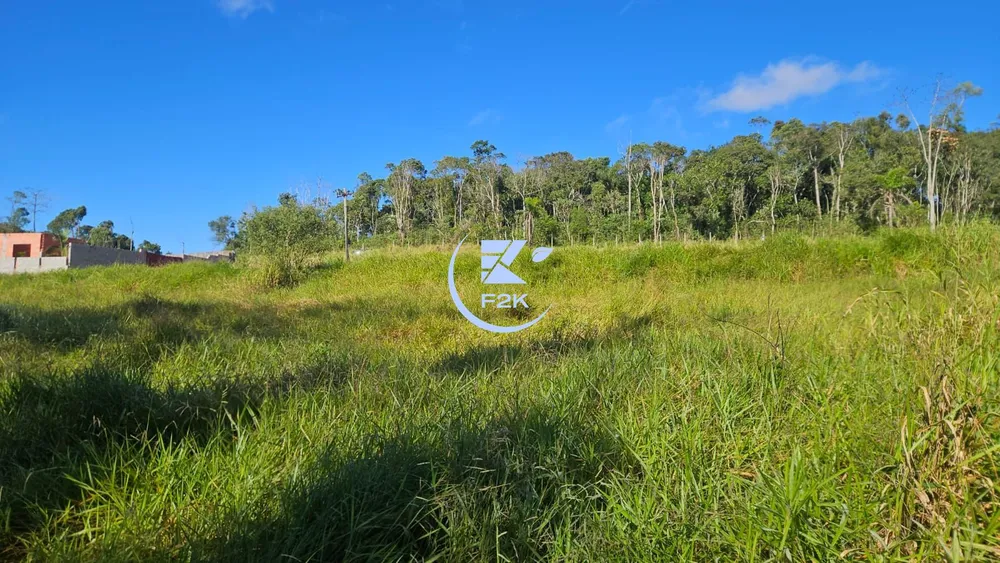 Terreno, 8000 m² - Foto 4