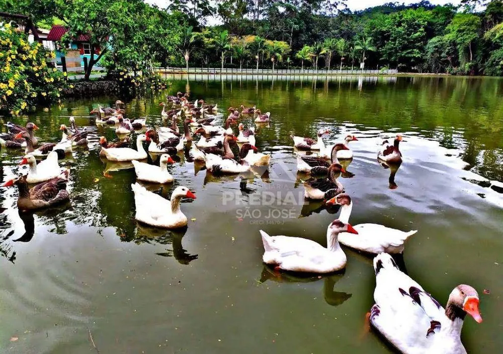 Loteamento e Condomínio, 1000 m² - Foto 8