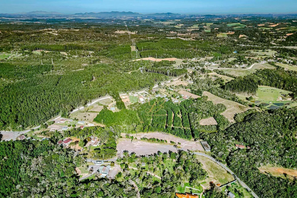 Terreno, 6 hectares - Foto 8