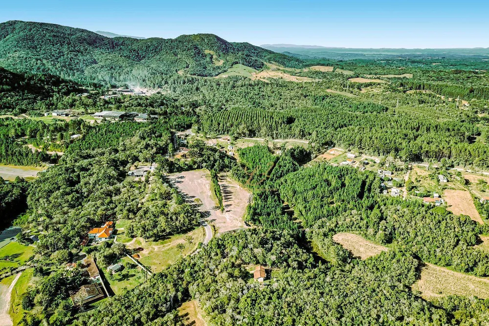 Terreno, 6 hectares - Foto 3