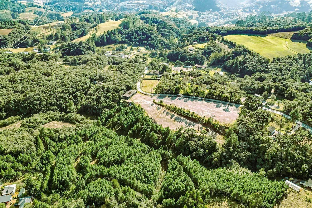 Terreno, 6 hectares - Foto 4