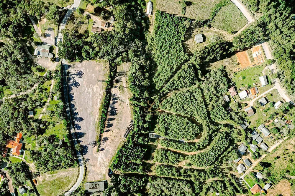 Terreno, 6 hectares - Foto 7
