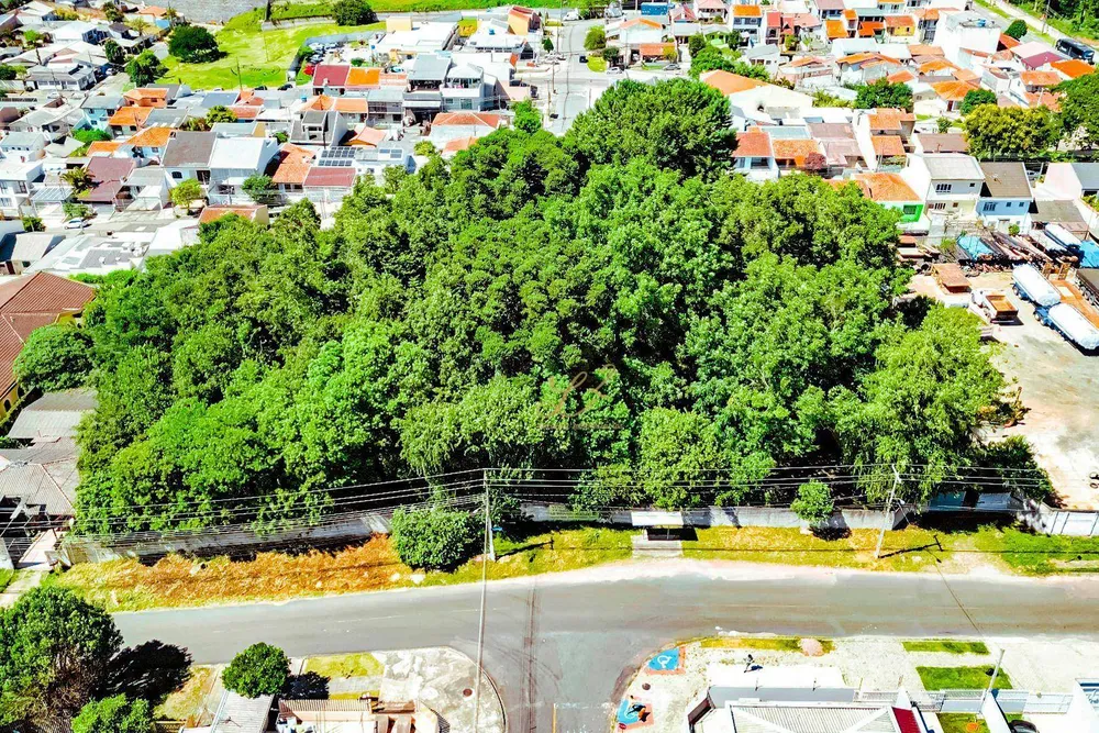 Terreno, 2189 m² - Foto 6