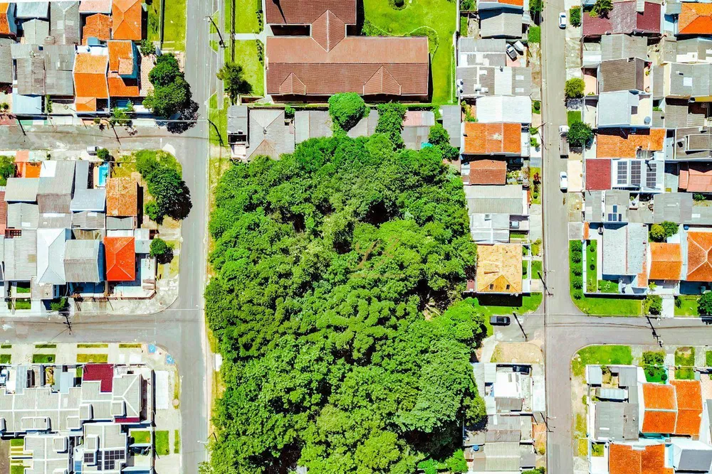 Terreno, 2189 m² - Foto 10