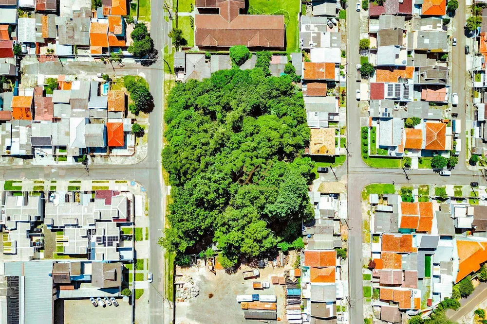 Terreno, 2189 m² - Foto 12