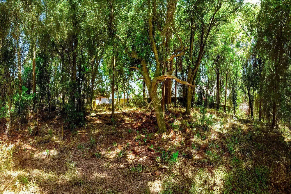 Terreno, 2189 m² - Foto 1