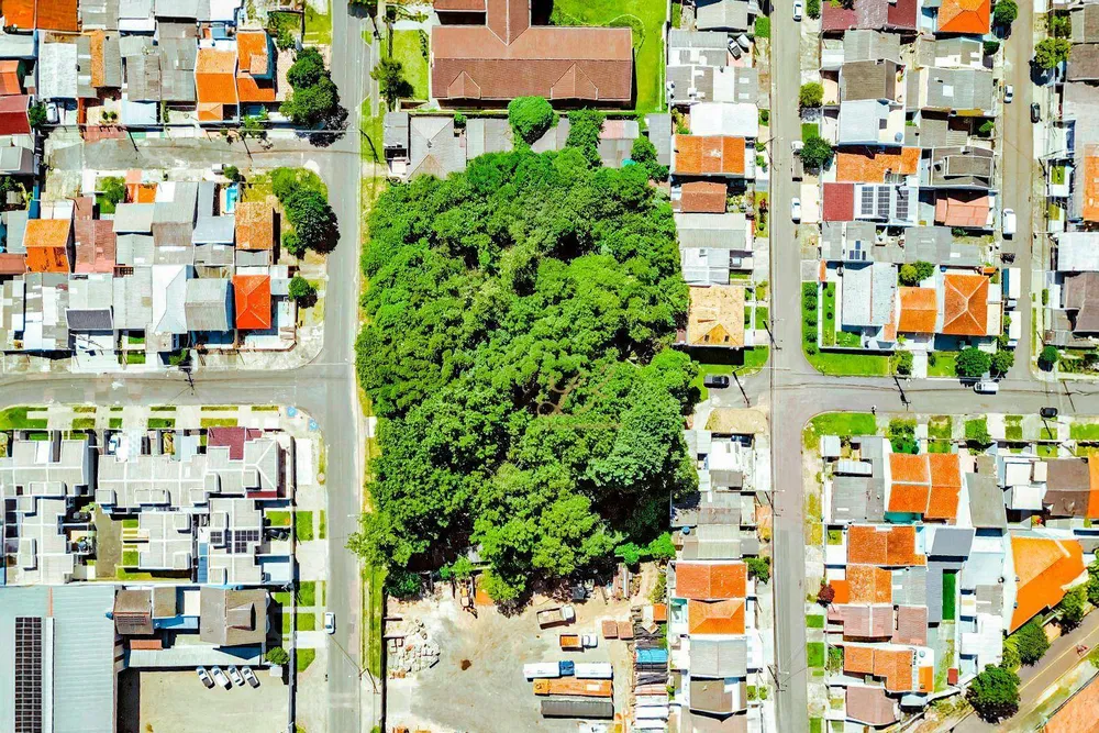 Terreno, 2189 m² - Foto 11