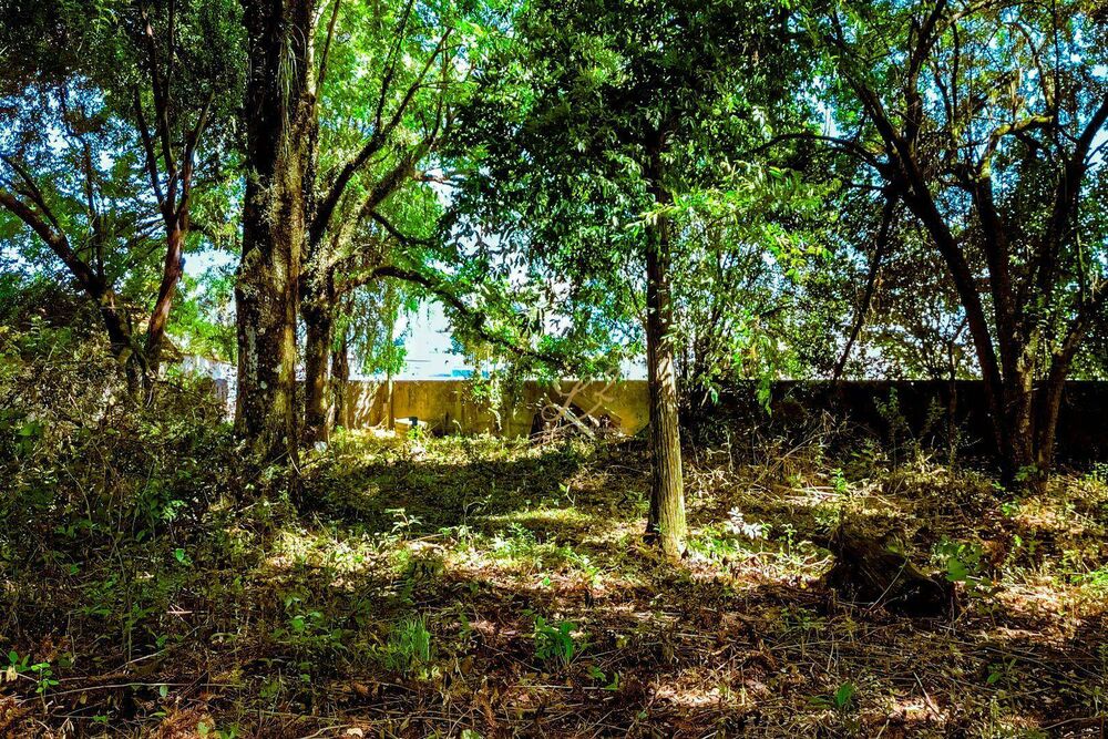 Terreno à venda, 2189M2 - Foto 10