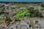 Terreno, 2189 m² - Foto 4