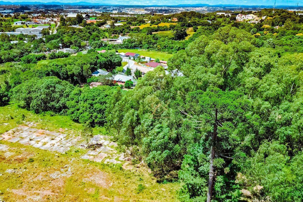 Terreno à venda, 10000M2 - Foto 7