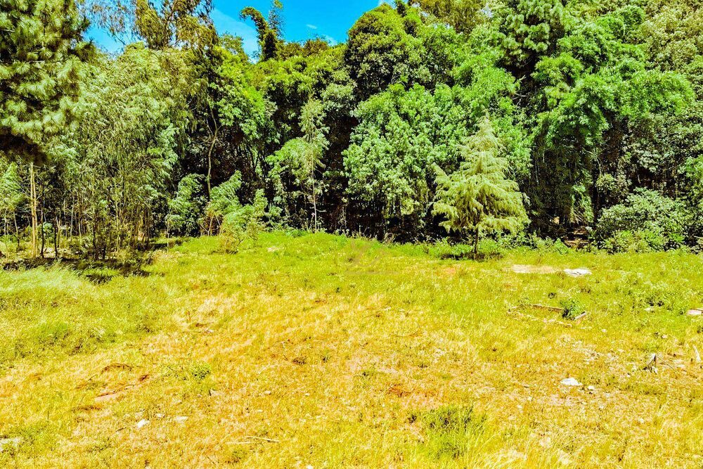 Terreno à venda, 10000M2 - Foto 6