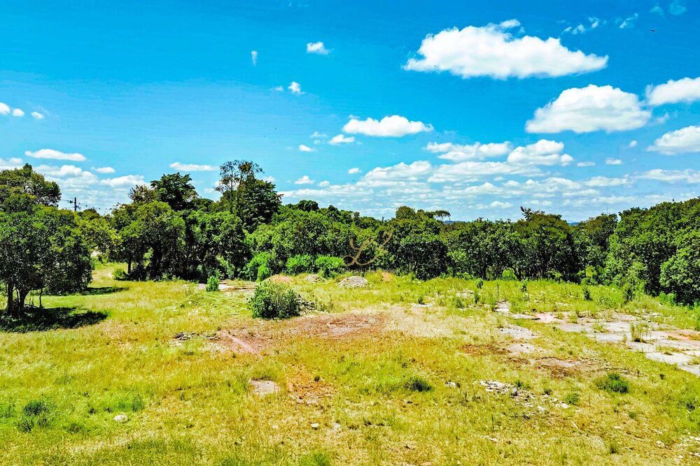 Terreno à venda, 10000M2 - Foto 4
