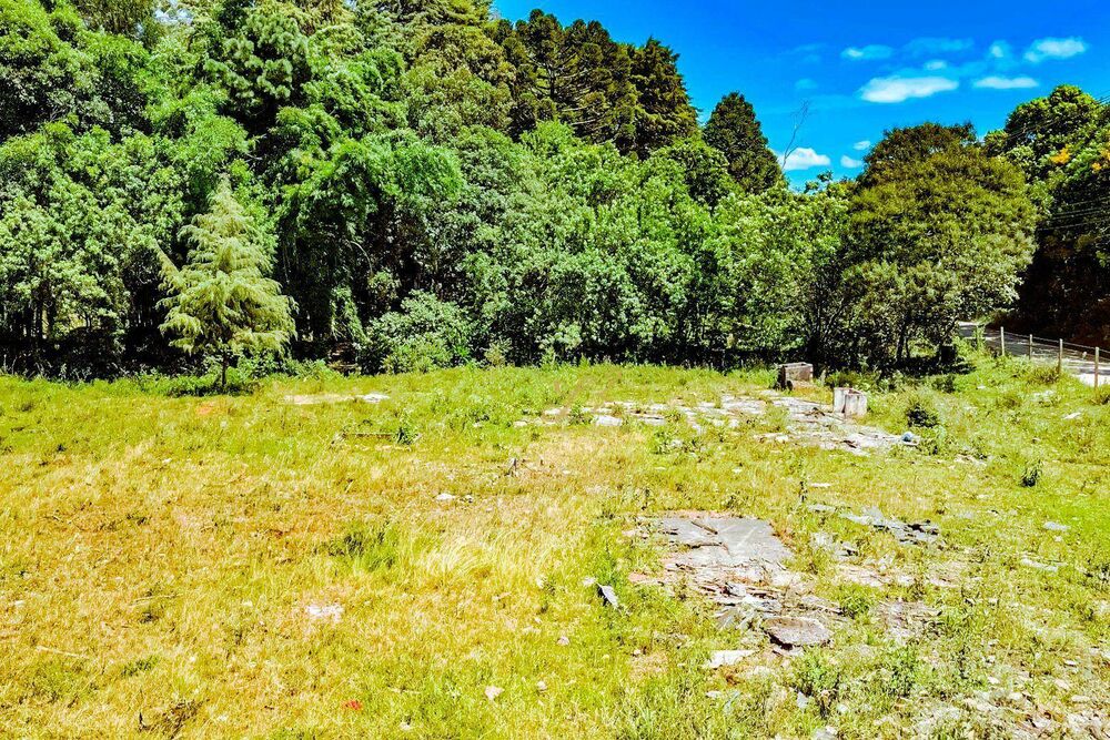 Terreno à venda, 10000M2 - Foto 5