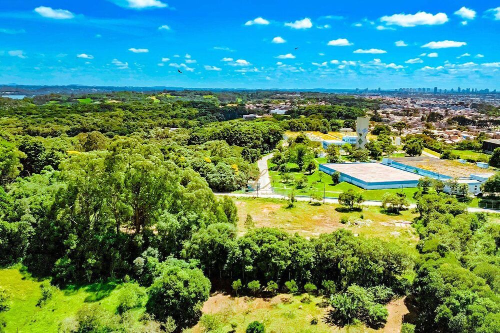 Terreno à venda, 10000M2 - Foto 14