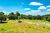 Terreno, 10000 m² - Foto 4