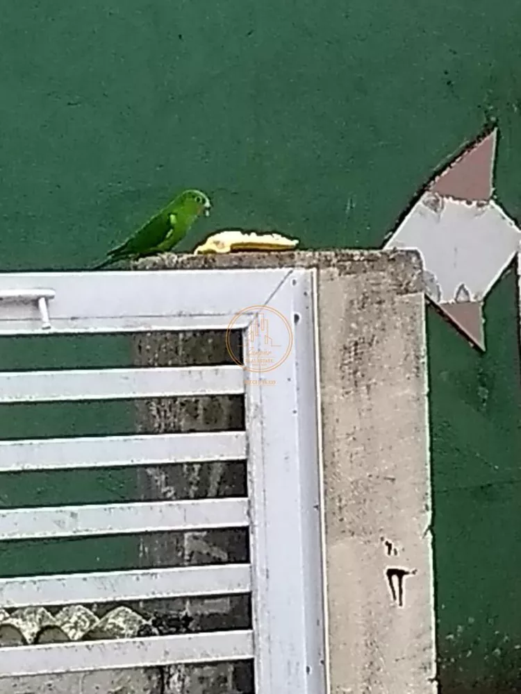 Casa, 4 quartos, 240 m² - Foto 18