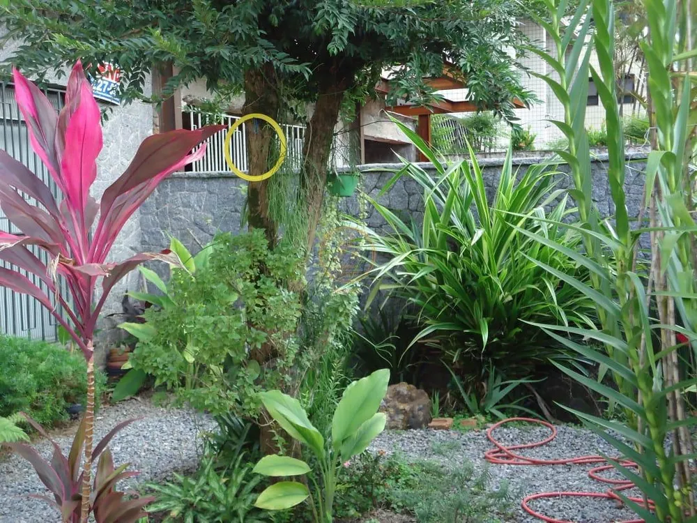 Casa, 4 quartos, 492 m² - Foto 3