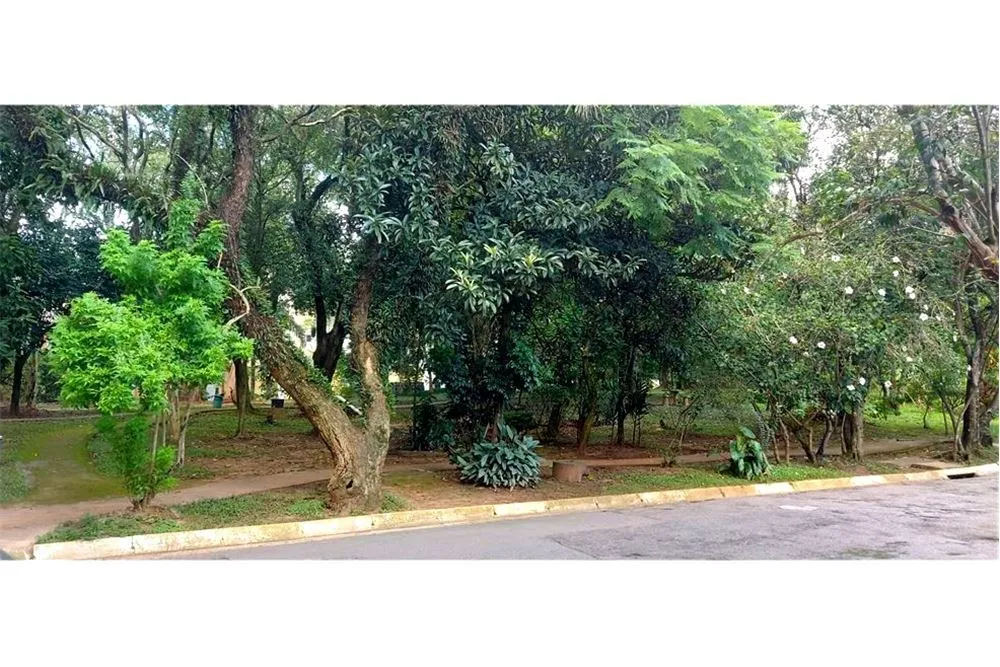 Casa, 4 quartos, 463 m² - Foto 9