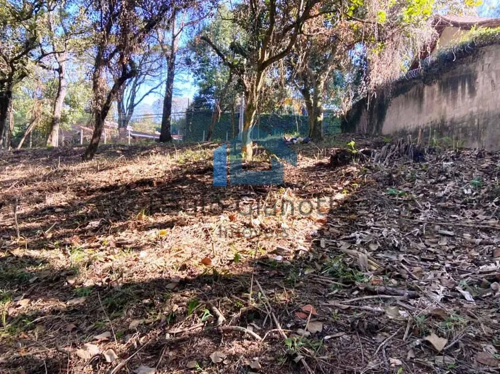Terreno, 2334 m² - Foto 4