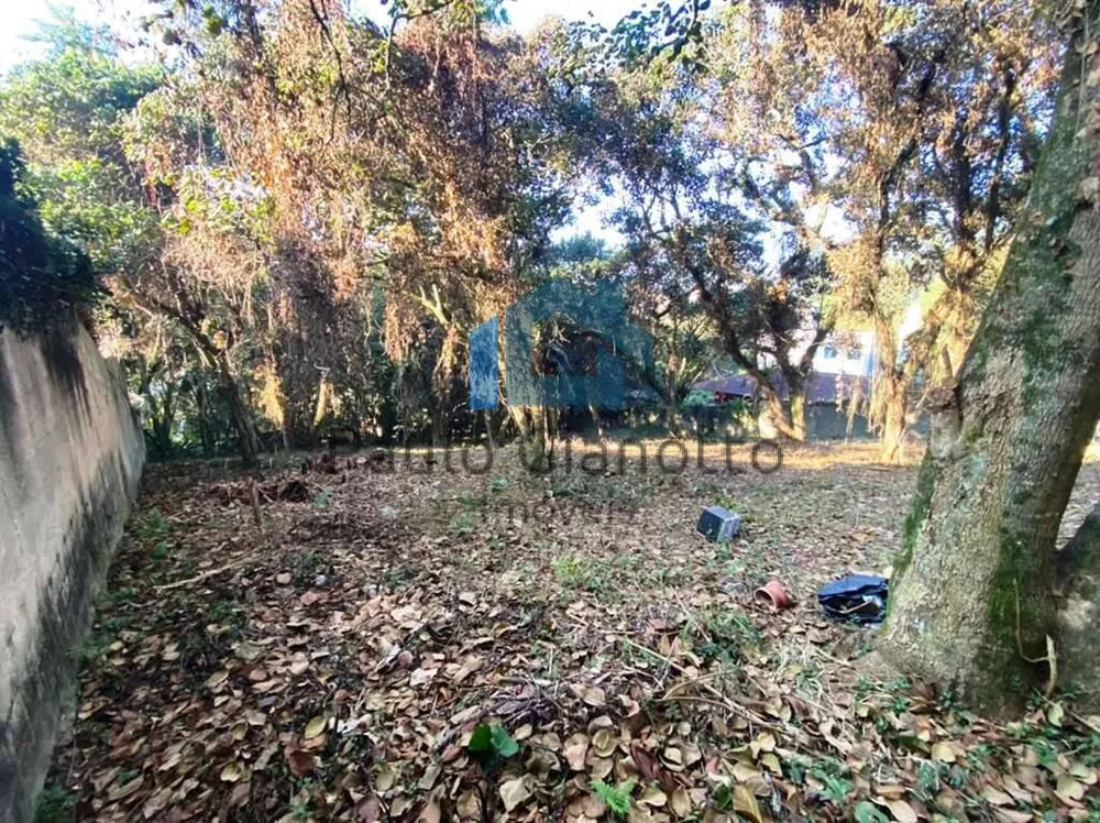 Terreno, 2334 m² - Foto 7