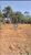 Terreno, 500 m² - Foto 3