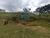 Terreno, 130 m² - Foto 1