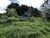 Terreno, 1420 m² - Foto 4